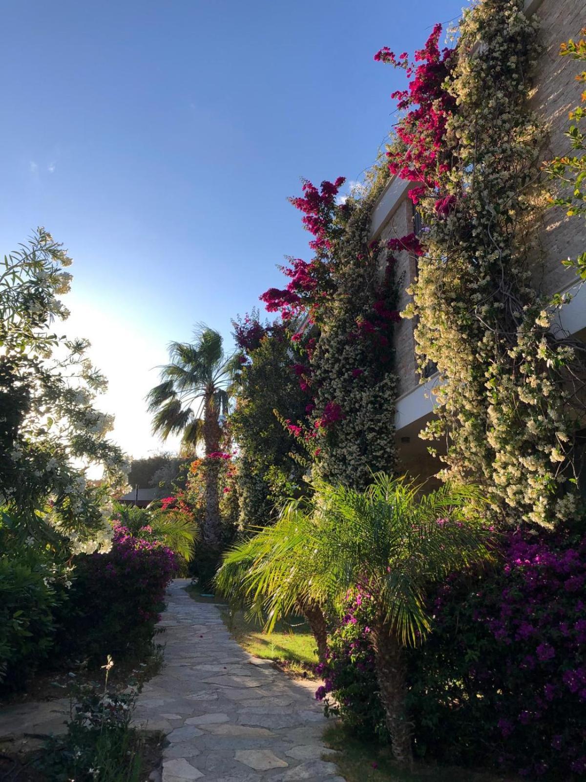 Hotel Spektr Boutique Yalıkavak